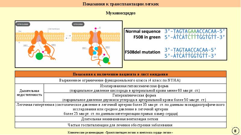 Трансплантация легких презентация