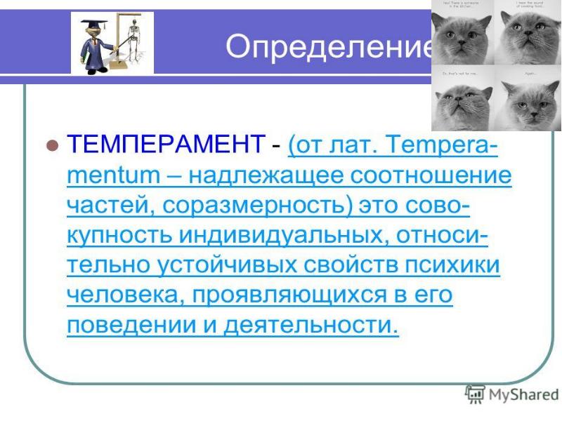 Нервная система человека презентация пименов