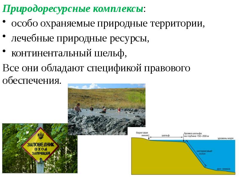 Природоресурсное право презентация