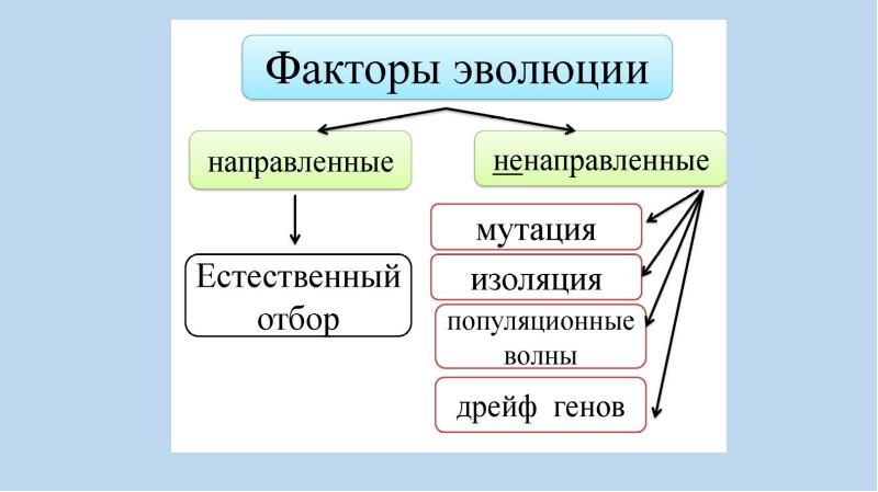 Факторы изоляции