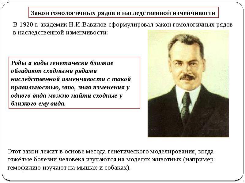 Закон вавилова о гомологических рядах наследственной изменчивости презентация