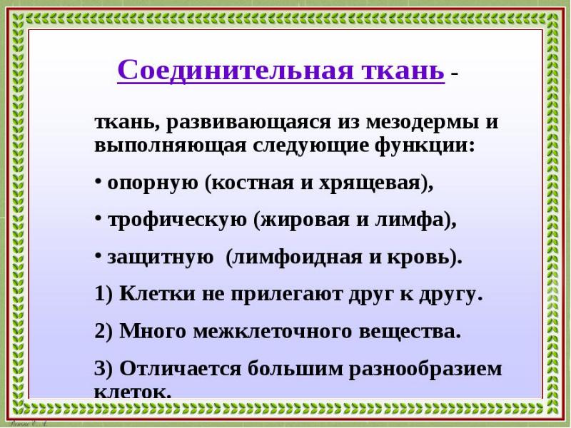 Презентации для подготовки к олимпиадам по биологии