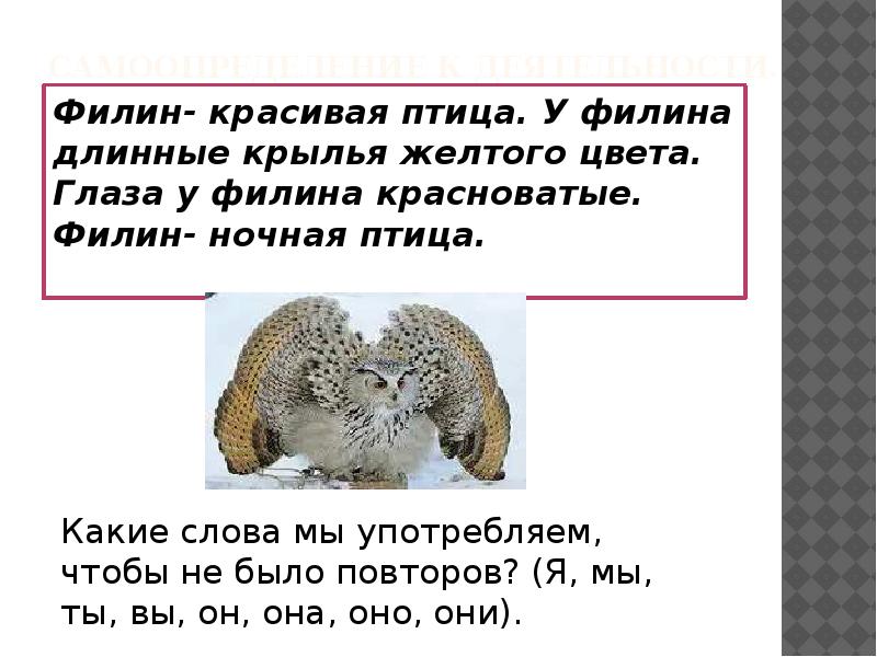слово сова. занавесочки слова. еще и филин текст. сова ухает ночью. любовь моя текст.