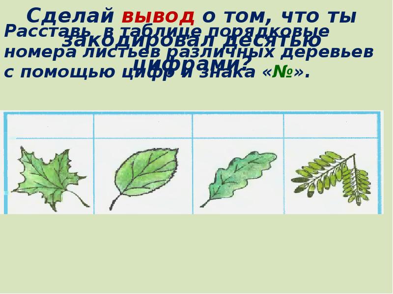 Причины изменения окраски листьев. Причины изменения окраски листьев. Норма реакции у растений. Ширина листа растения. Норма реакции.
