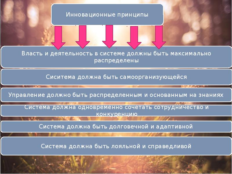 Управление должно быть. Принцип инновационности. Инновационные принципы. Принципы инноваций в туризме. Принципы нововведений.