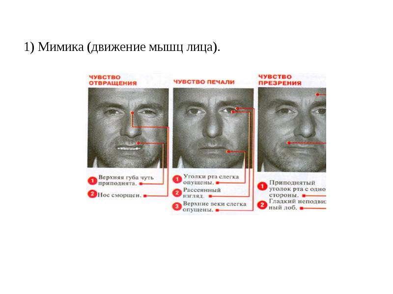 Движение мимики. 1.Мимика. Карта мимик 1. Мимика это движение мышц лица движение руками.