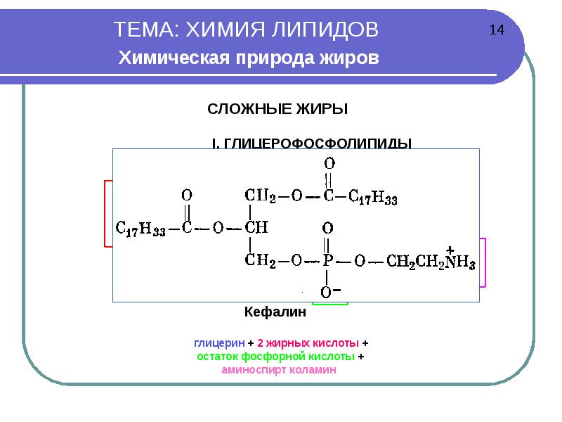 Приведите схему реакции превращения фосфатидилэтаноламина в фосфатидилхолин