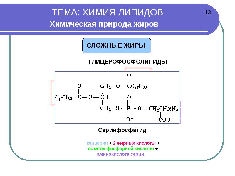 Строение липидов рисунок. Липиды химия формула. Свойства липидов химия. Химическая структура липидов. Строение сложных липидов.