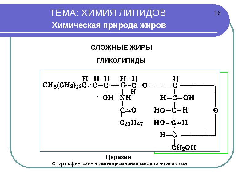 Соединения липидов. Химическое строение сложных липидов. Гликолипиды общая формула. Химическая структура липидов. Химическая природа липидов.