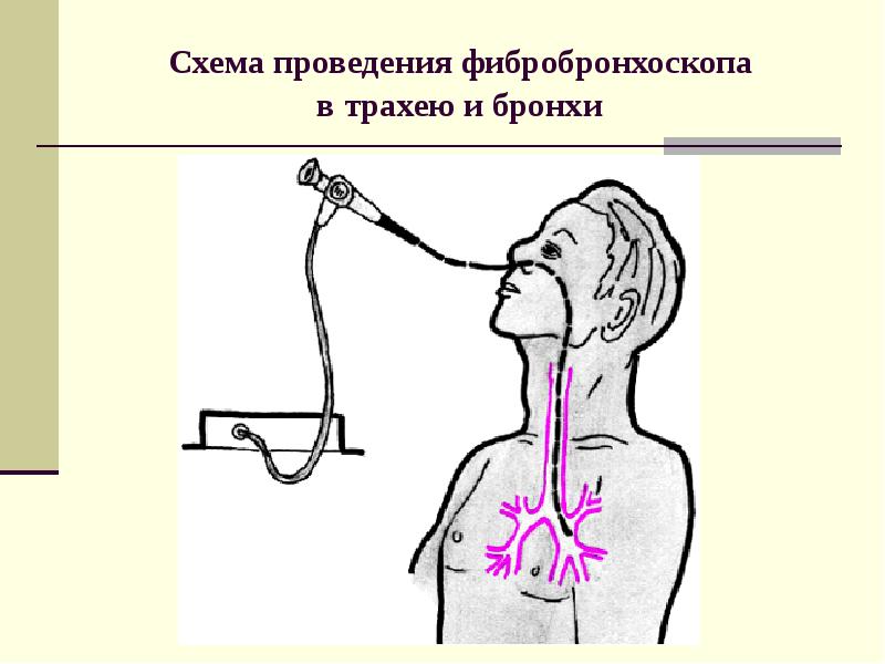 Презентация пропедевтика внутренних болезней дыхательная система