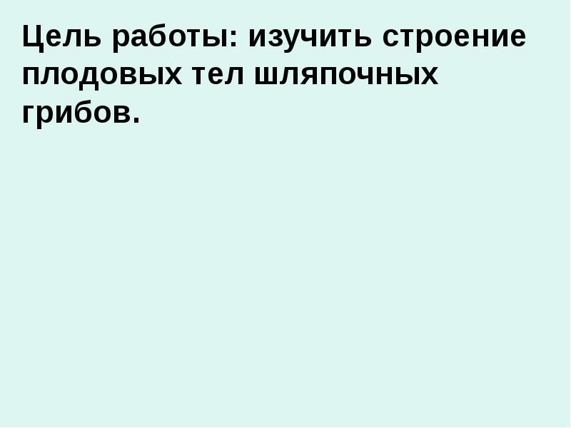 Цель работы: изучить строение плодовых тел шляпочных грибов. Цель работы: изучить строение плодовых тел шляпочных грибов.