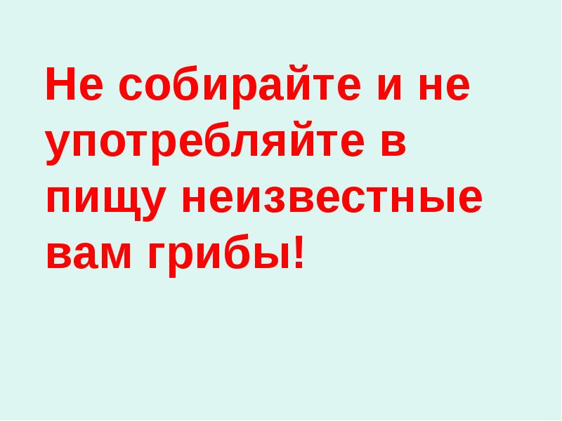 Не собирайте и не употребляйте в пищу неизвестные вам грибы!