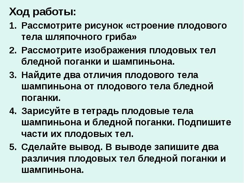 Ход работы:
Рассмотрите рисунок «строение плодового тела шляпочного гриба»
Рассмотрите изображения Ход работы:
Рассмотрите рисунок «строение плодового тела шляпочного гриба»
Рассмотрите изображения