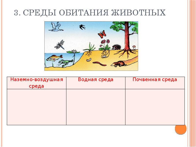 Технологическая карта разнообразие животных 3 класс