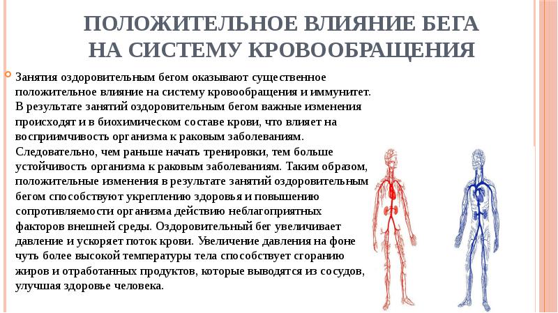 Положительное влияние бега на систему кровообращения
Занятия оздоровительным бегом оказывают существенное Положительное влияние бега на систему кровообращения
Занятия оздоровительным бегом оказывают существенное