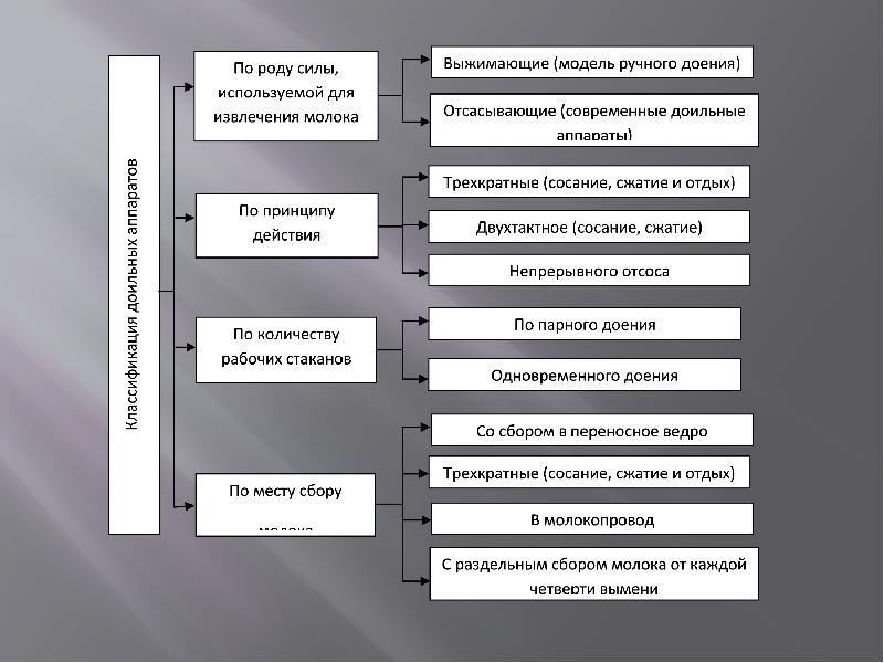 Технология доения коров презентация