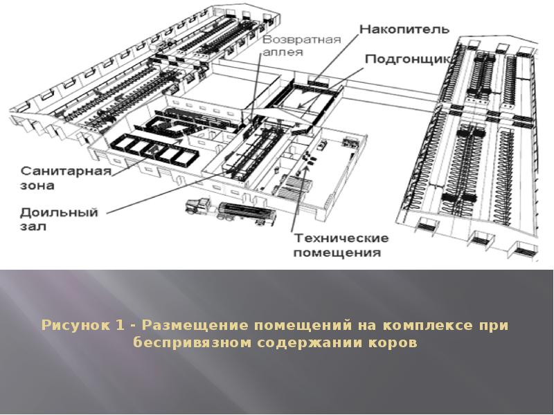 Технологическая карта доения коров