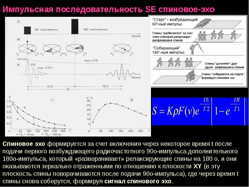 Физические основы мрт презентация