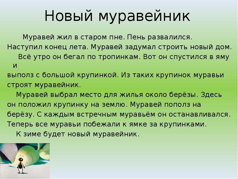 Новый муравейник