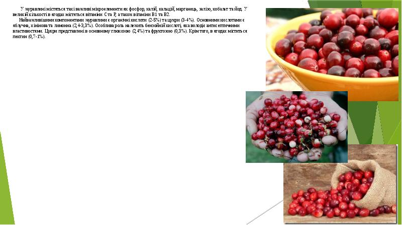 У журавлині містяться такі важливі мікроелементи як фосфор, калій, кальцій, марганець, У журавлині містяться такі важливі мікроелементи як фосфор, калій, кальцій, марганець,