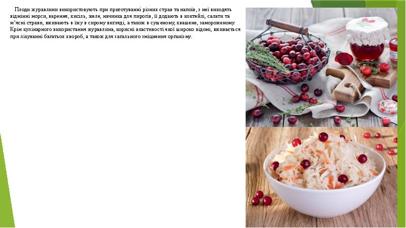 Плоди журавлини використовують при приготуванні різних страв та напоїв, з неї Плоди журавлини використовують при приготуванні різних страв та напоїв, з неї