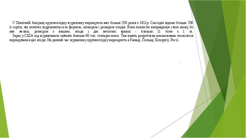 У Північній Америці крупноплідну журавлину вирощують вже більше 200 років з У Північній Америці крупноплідну журавлину вирощують вже більше 200 років з