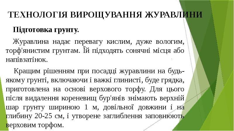 ТЕХНОЛОГІЯ ВИРОЩУВАННЯ ЖУРАВЛИНИ
Підготовка грунту.
Журавлина надає перевагу кислим, дуже ТЕХНОЛОГІЯ ВИРОЩУВАННЯ ЖУРАВЛИНИ
Підготовка грунту.
Журавлина надає перевагу кислим, дуже