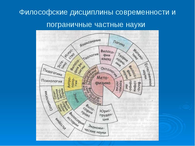 1 философия науки. Частные философские дисциплины. Философия и частные науки. Примеры частных наук. Специальные философские дисциплины.