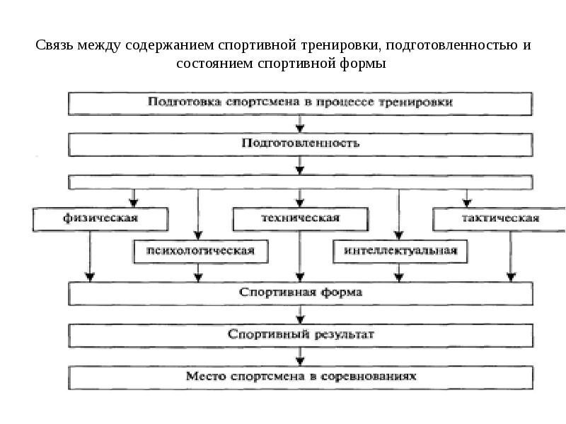 На этапе высшего спортивного мастерства предпочтительны тренировочные схемы