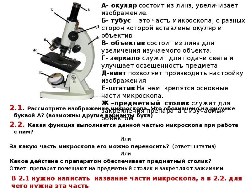 Функция столика в микроскопе