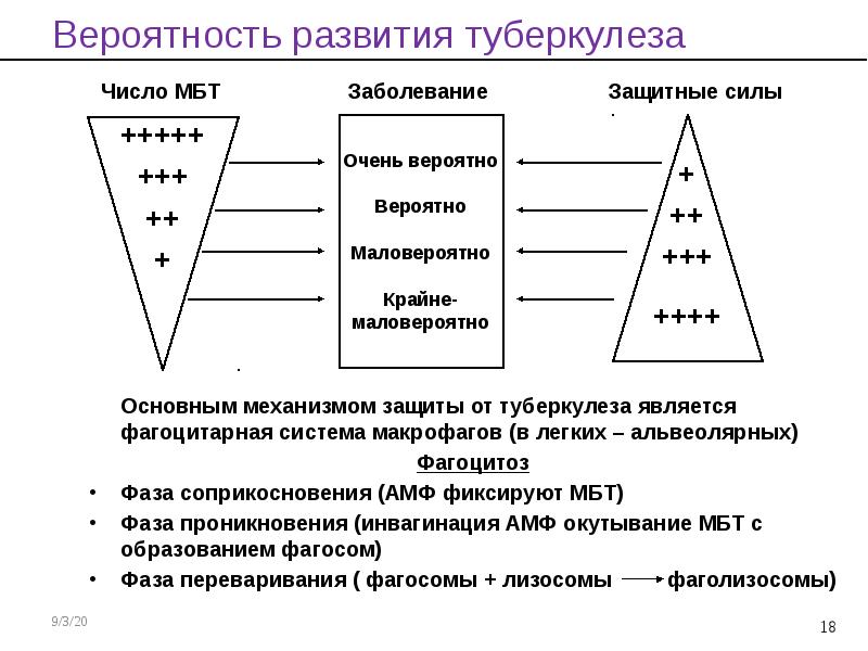 Этиология и патогенез туберкулеза презентация