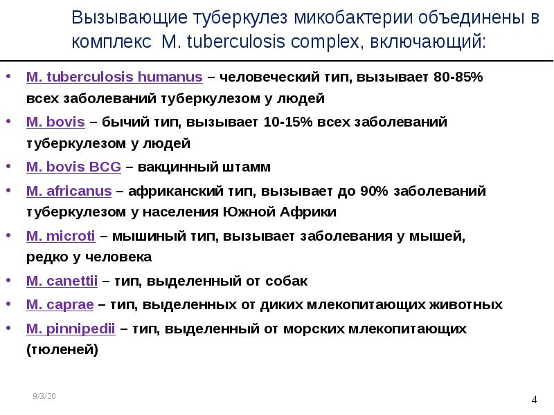 Эпидемиология туберкулеза презентация