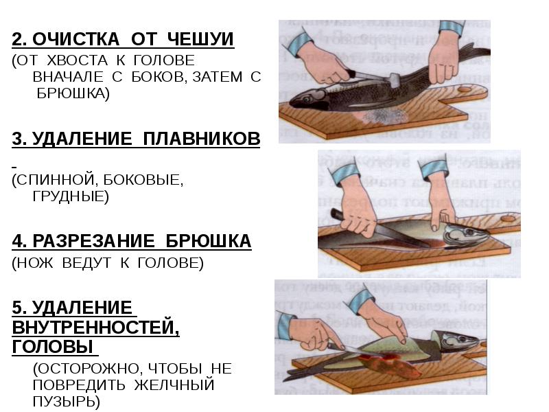 Обработка чешуйчатой рыбы презентация