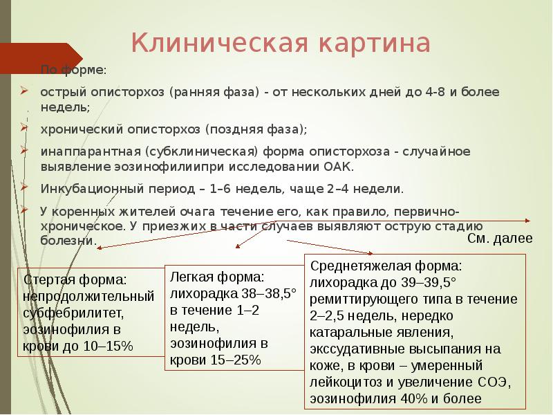 Описторхоз клиническая картина