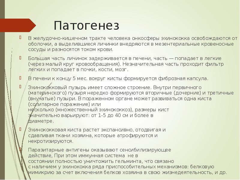 Патогенез В желудочно-кишечном тракте человека онкосферы эхинококка освобождаются от оболочки, а