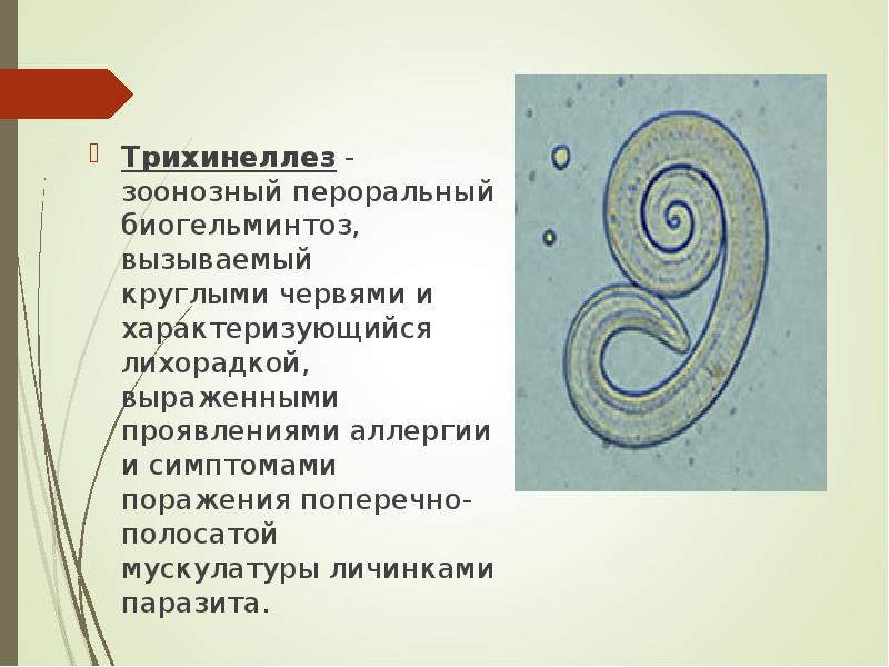 Трихинеллез - зоонозный пероральный биогельминтоз, вызываемый&nbsp; круглыми червями и характеризующийся лихорадкой,