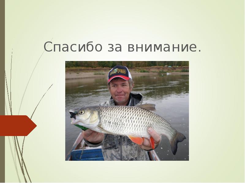 Спасибо за внимание.