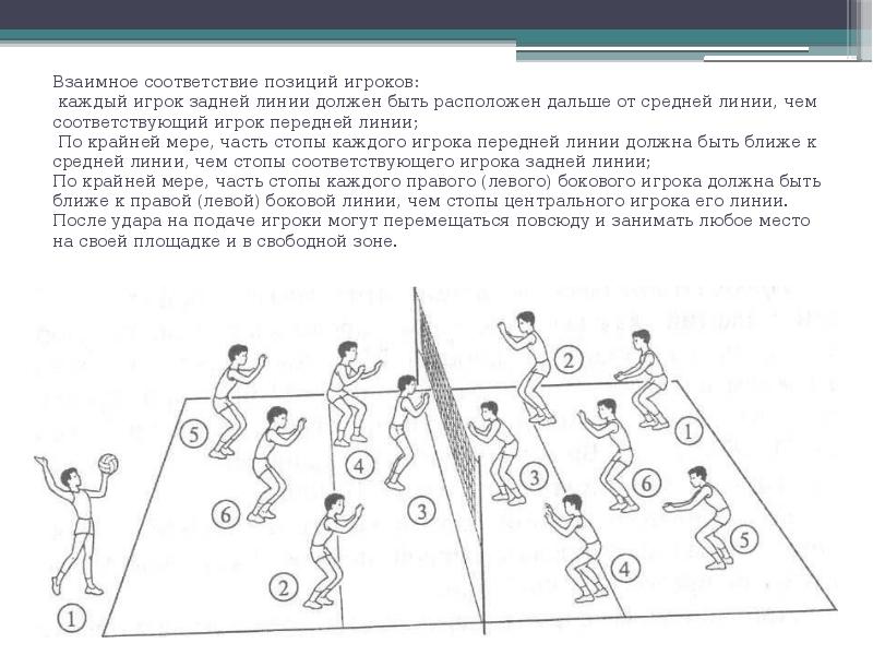 Позиции в команде волейбола. Позиции в волейболе. Позиции игроков в волейболе. Позиции (амплуа) игроков в волейболе. Схема позиций игроков в волейболе.