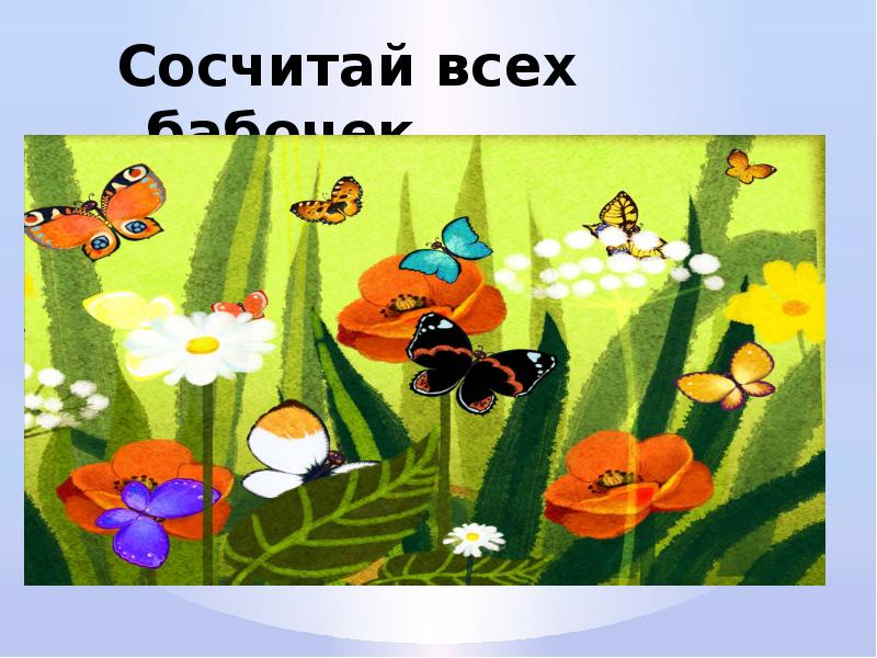 признаки лета 1 класс. лето презентация для начальной школы. лето основные признаки. признаки лето для дошкольников.