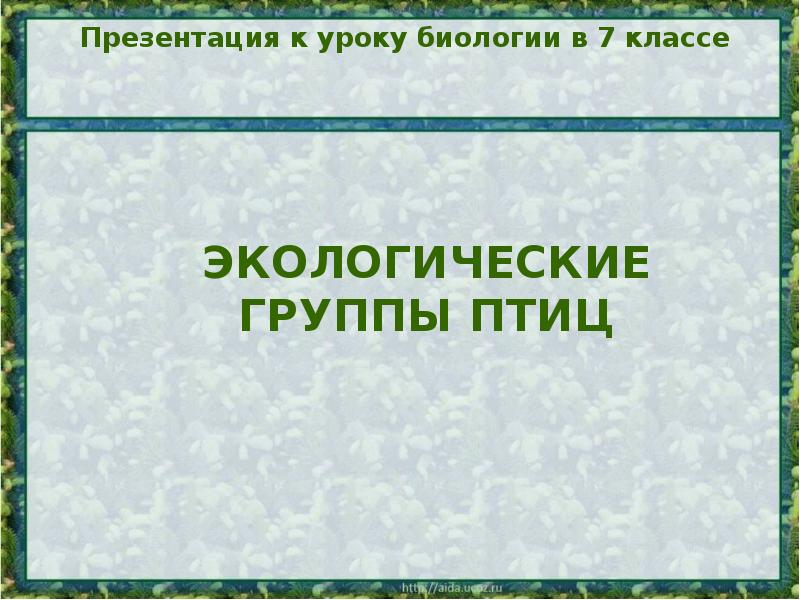 Экологические группы птиц презентация