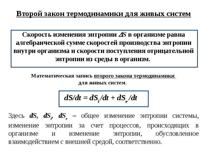 Сущность второго закона термодинамики. 1 И второй закон термодинамики. Принципы термодинамики в биологических системах. Первый закон термодинамики. Биофизика второй закон термодинамики..