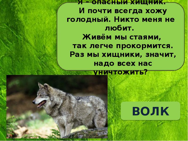 Как яблоко на блюдце у нас земля одна не торопитесь люди все исчерпать до дна