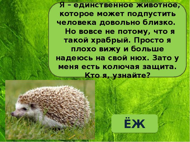 Как яблоко на блюдце у нас земля одна не торопитесь люди все исчерпать до дна