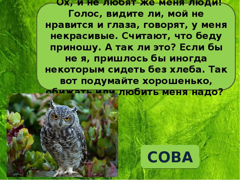 Как яблоко на блюдце у нас земля одна не торопитесь люди все исчерпать до дна