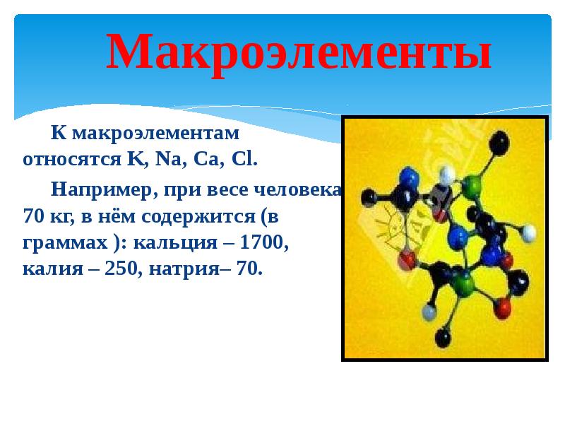 3 макроэлемента. К макроэлементам относятся. К макроэлементам клетки относятся.