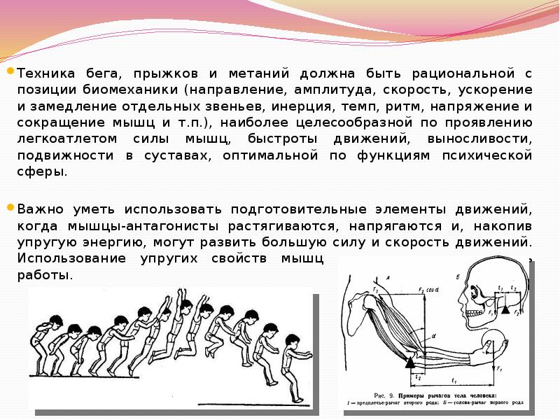 Амплитуда упражнений. Основы биомеханики легкоатлетических упражнений. Биомеханика прыжка. Биомеханические основы бега. Биомеханика прыжка в высоту.