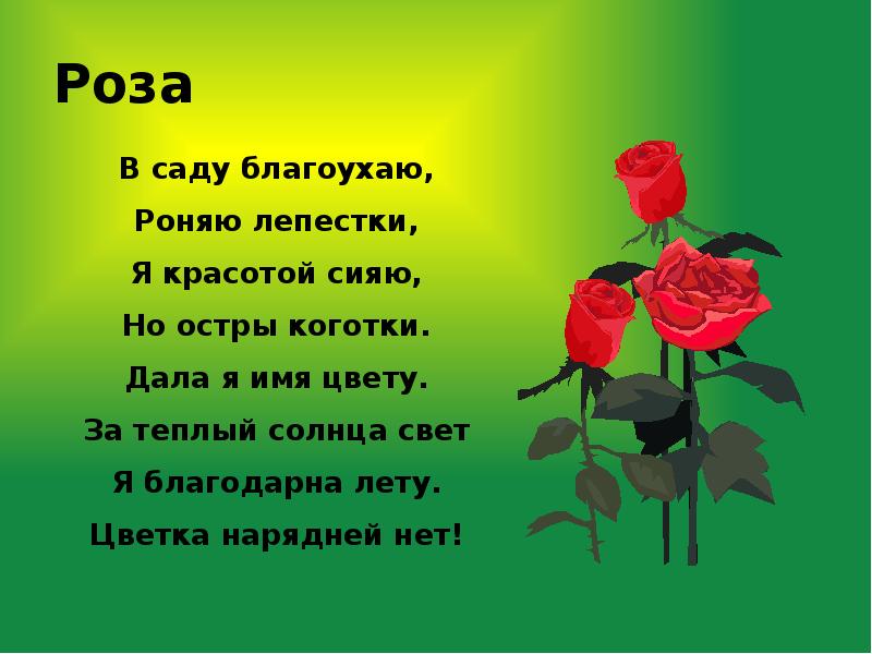 Цветок детские стихи. Стих про розу. Стих про розу цветок. Стих про розу для детей. Детские стихи о Розе.