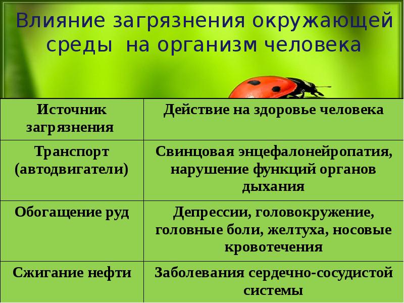 Влияние загрязнений на живые организмы презентация 11 класс