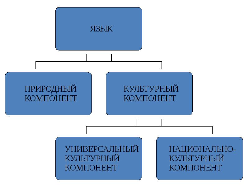 Язык культуры презентация