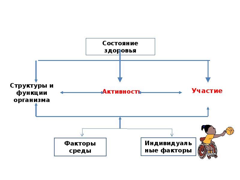 Международная классификация функционирования презентация